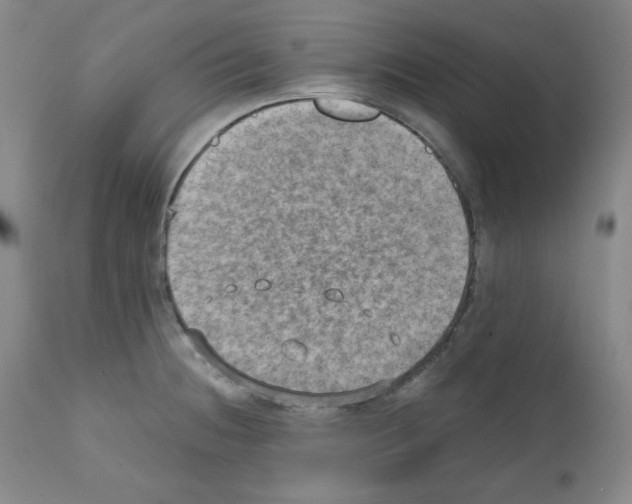 X0000110891236200907301534