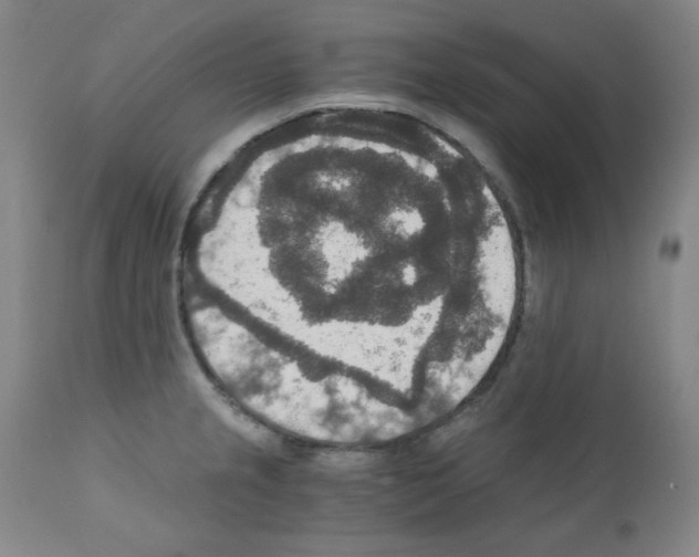 X0000110891237200907301534