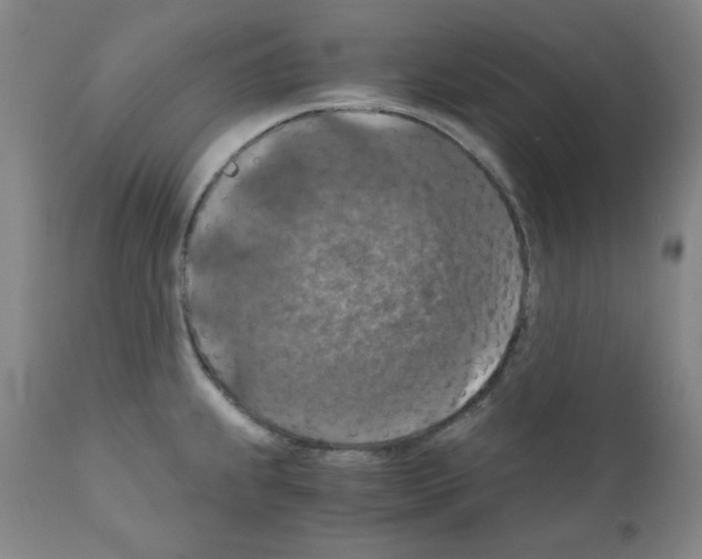 X0000110891239200907301534