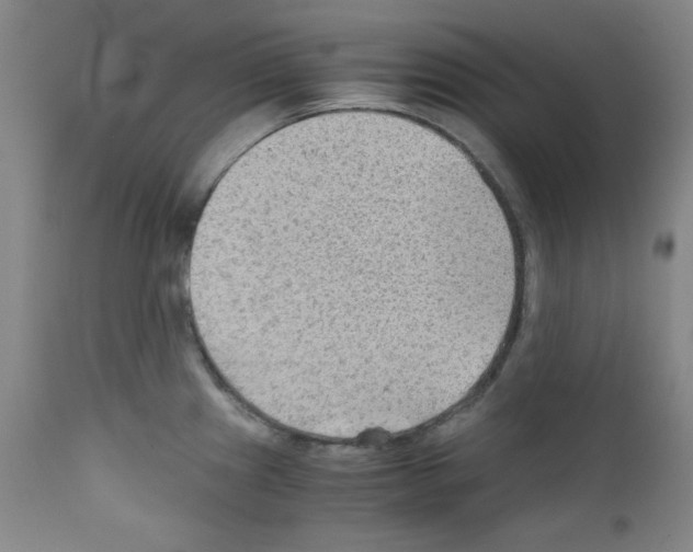 X0000110891241200907301534