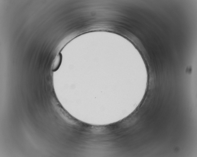 X0000110891242200907301534