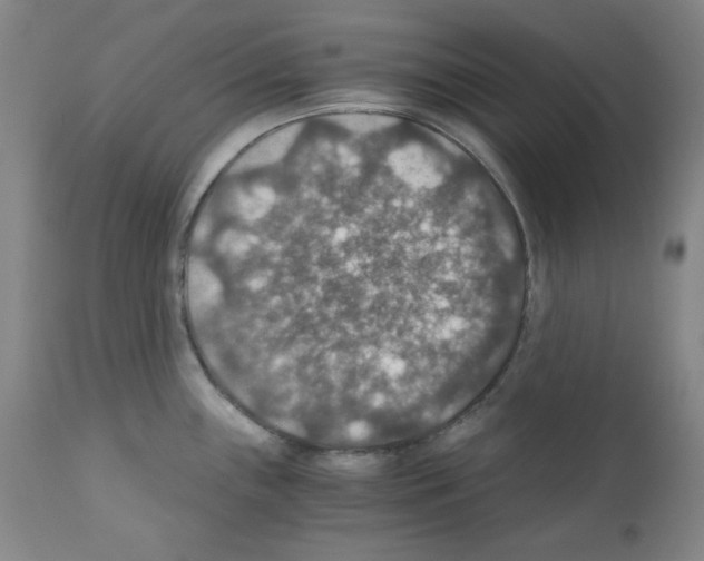 X0000110891243200907301534
