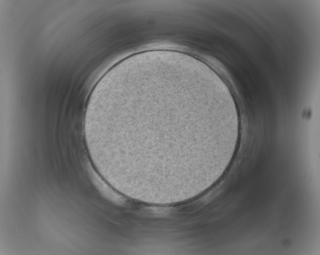 X0000110891244200907301534