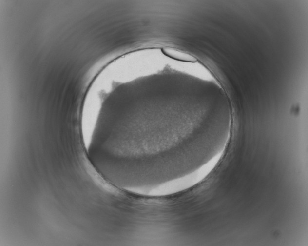 X0000110891246200907301534