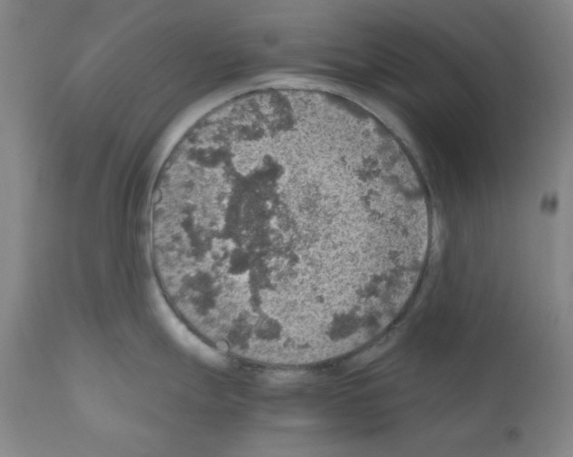 X0000110891247200907301534