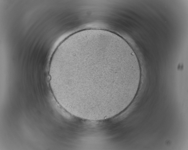 X0000110891248200907301534