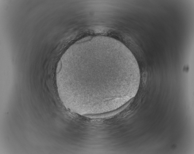 X0000110891249200907301534