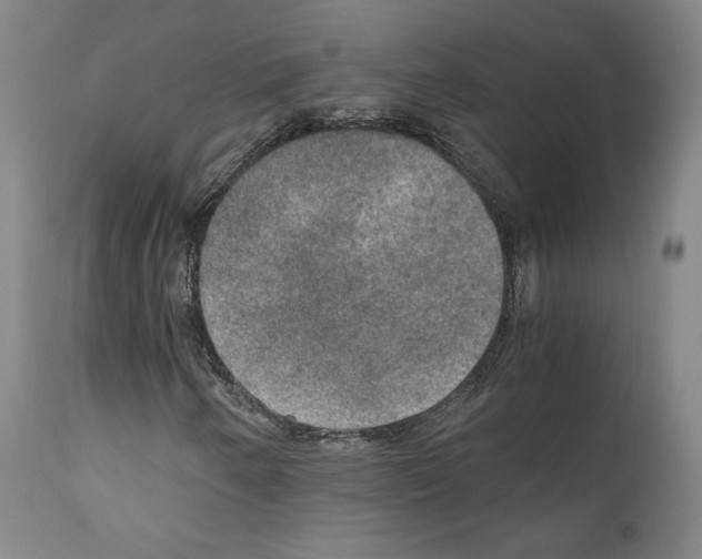 X0000110891250200907301533
