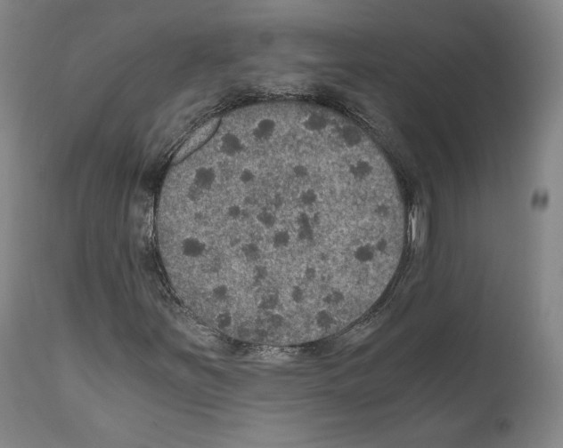 X0000110891251200907301533