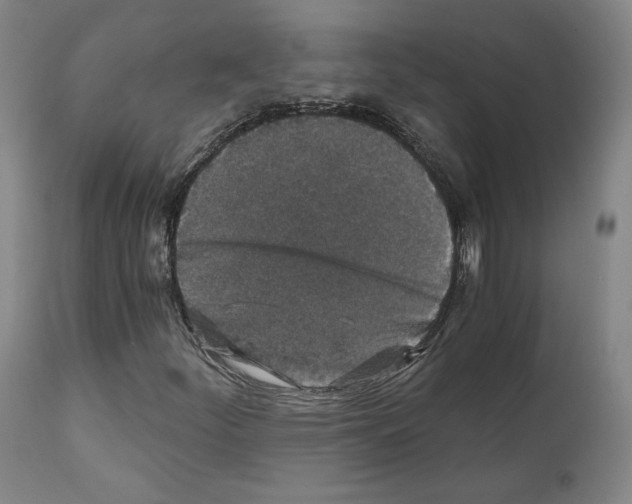 X0000110891252200907301533