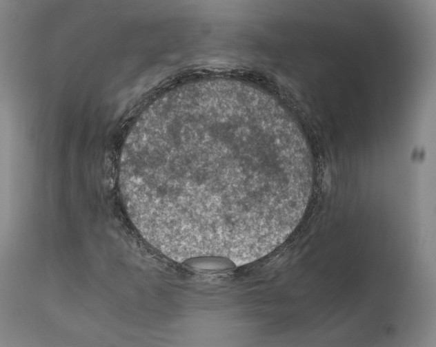 X0000110891253200907301533