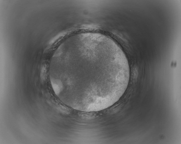 X0000110891254200907301533