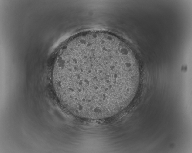 X0000110891255200907301533