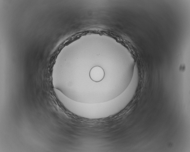 X0000110891256200907301533
