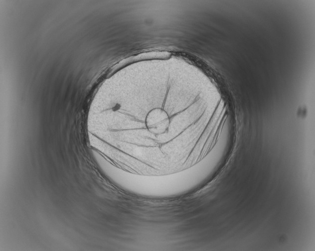 X0000110891257200907301533