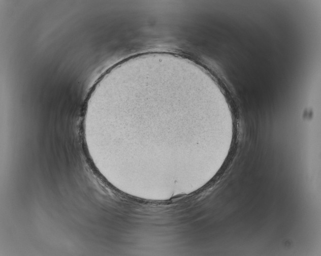 X0000110891260200907301533