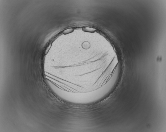 X0000110891261200907301533