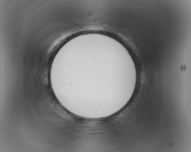 X0000110891262200907301533