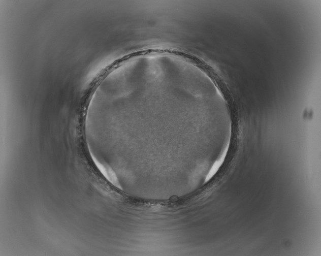 X0000110891263200907301533