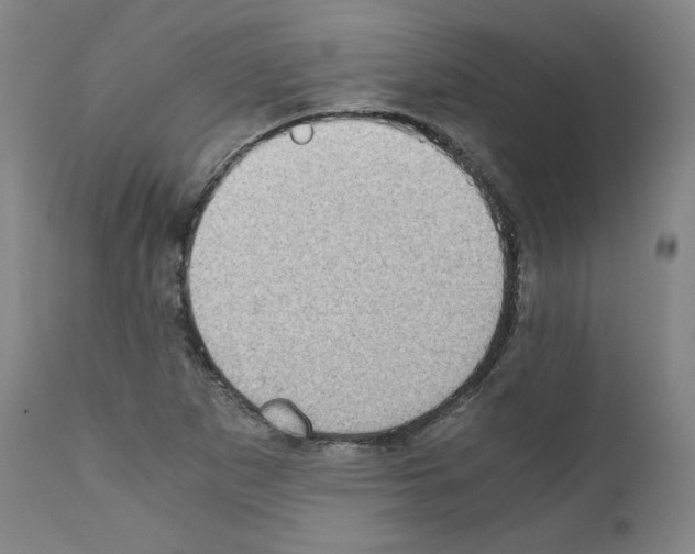 X0000110891265200907301533