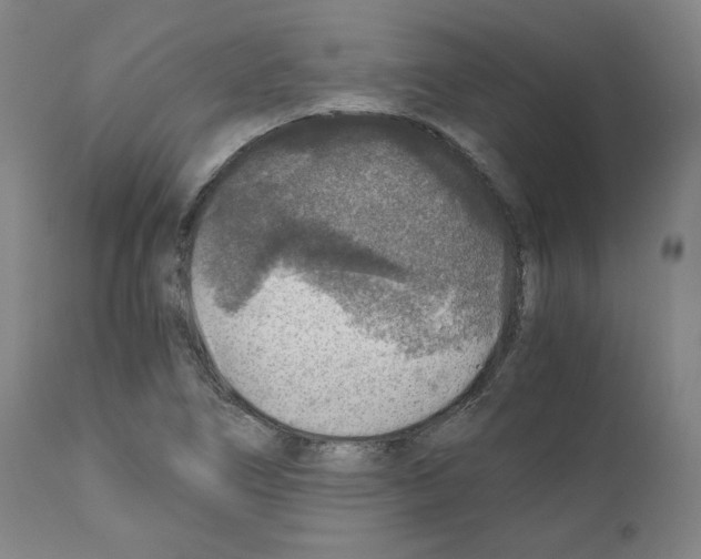 X0000110891266200907301533