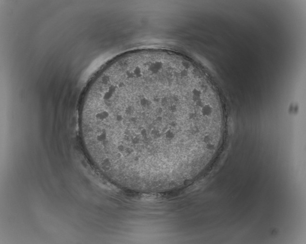 X0000110891267200907301533