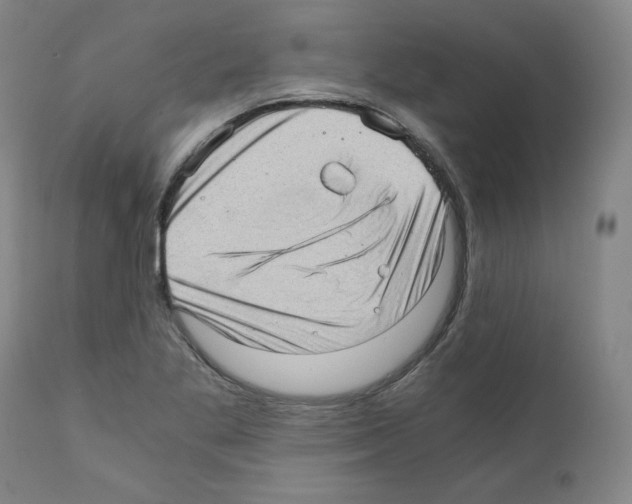 X0000110891269200907301533