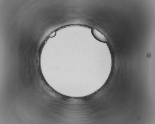 X0000110891270200907301533