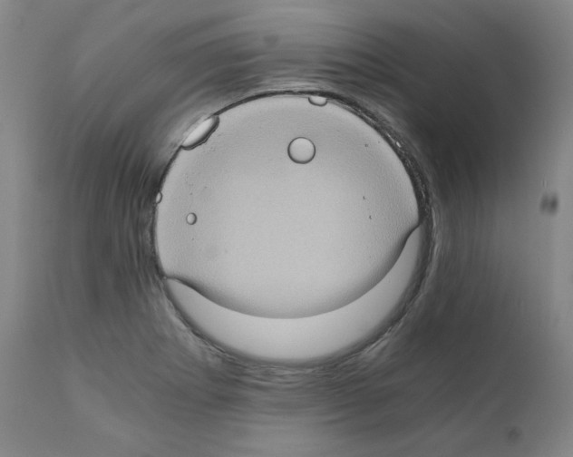 X0000110891273200907301533