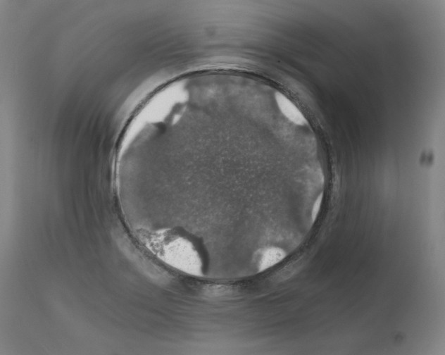 X0000110891275200907301533