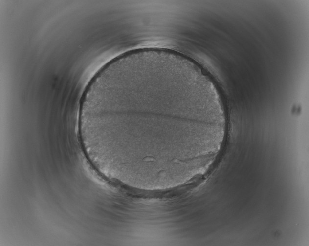 X0000110891276200907301533
