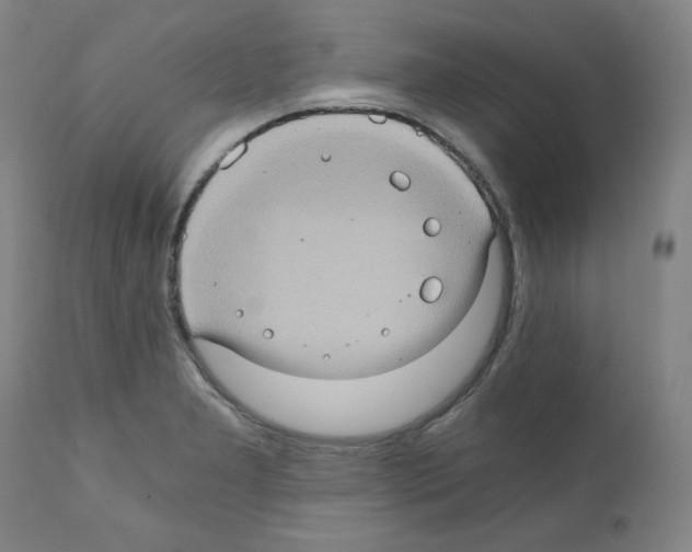 X0000110891277200907301533