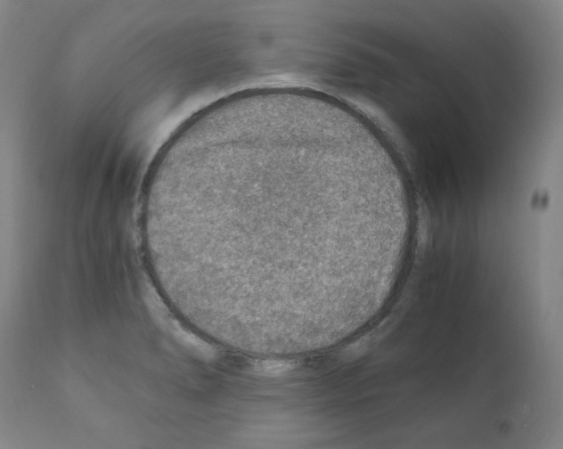 X0000110891278200907301533