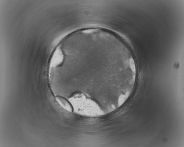 X0000110891279200907301533