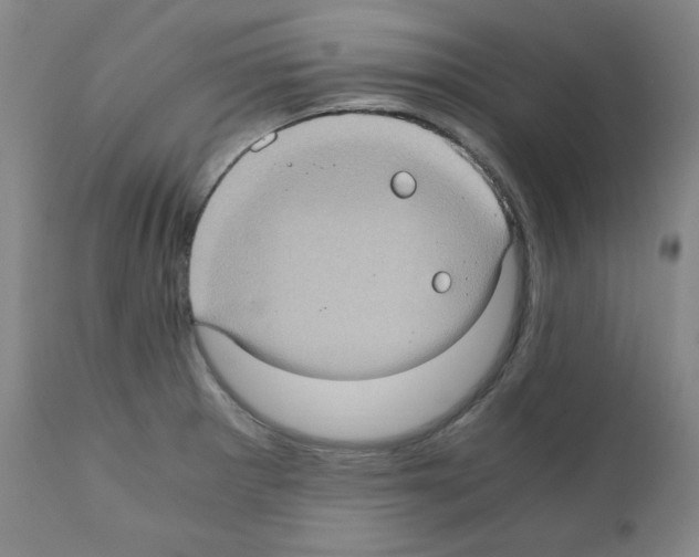 X0000110891281200907301533