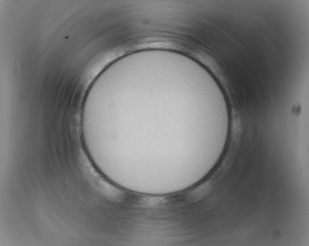 X0000110891282200907301533