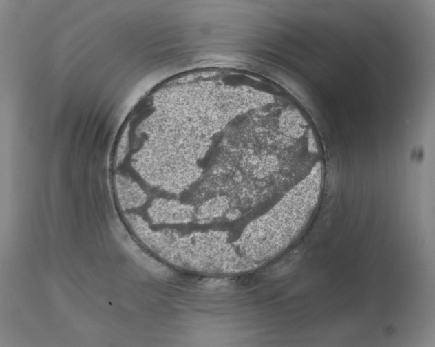 X0000110891283200907301533