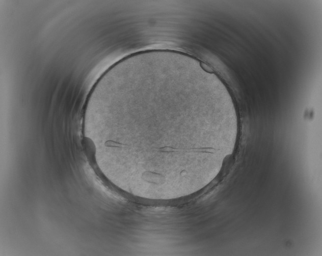 X0000110891284200907301533