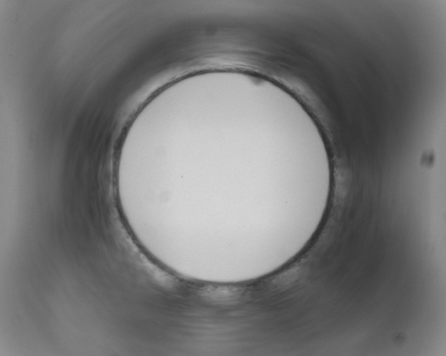 X0000110891286200907301533