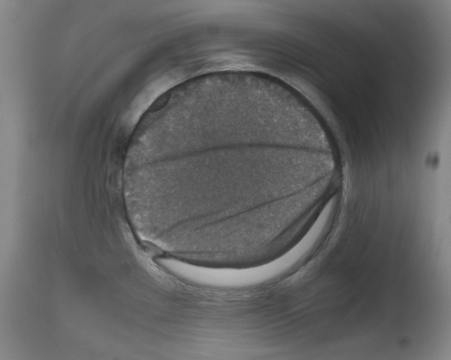 X0000110891289200907301533