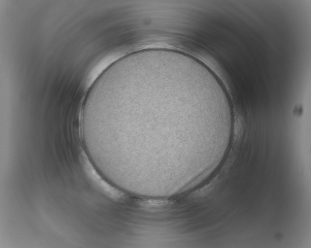 X0000110891290200907301533