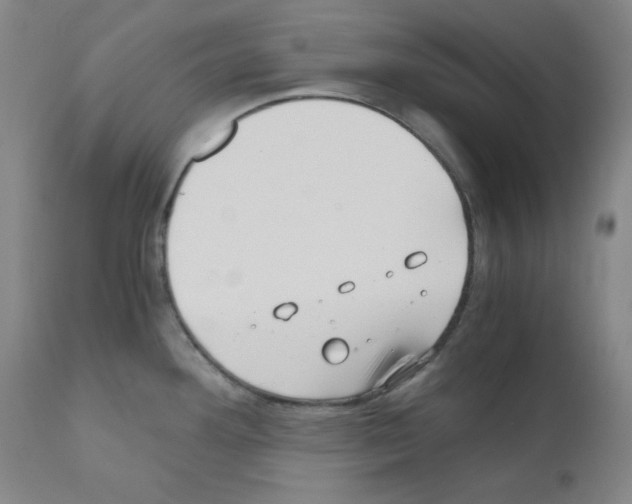X0000110891292200907301533