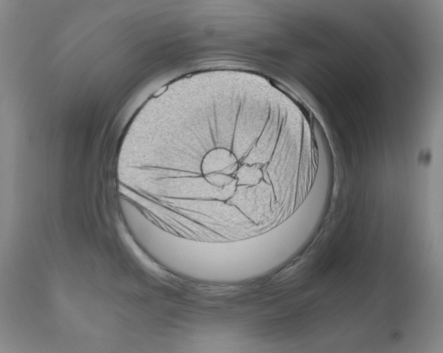 X0000110891293200907301533