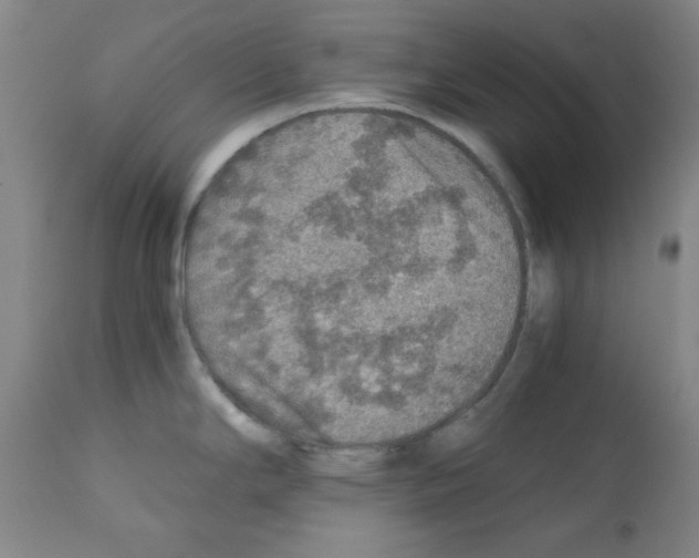 X0000110891294200907301533