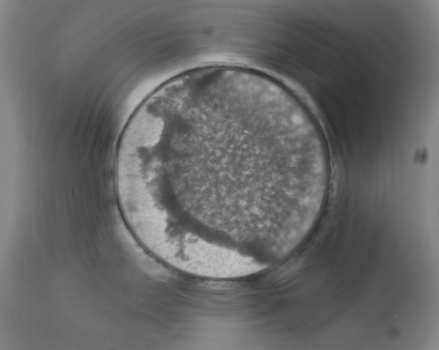 X0000110891295200907301533