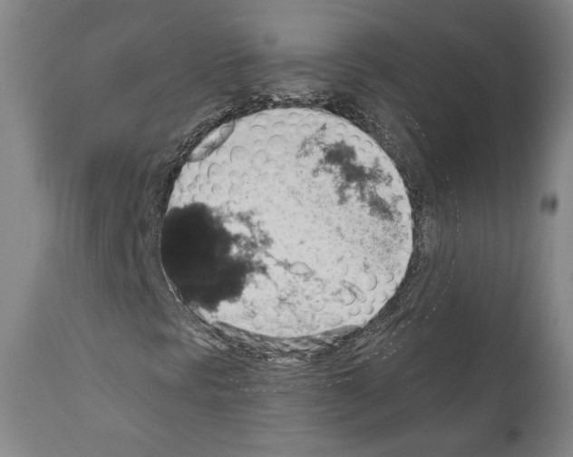 X0000110891297200907301532