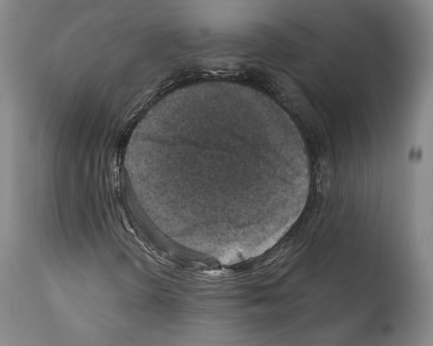 X0000110891298200907301532