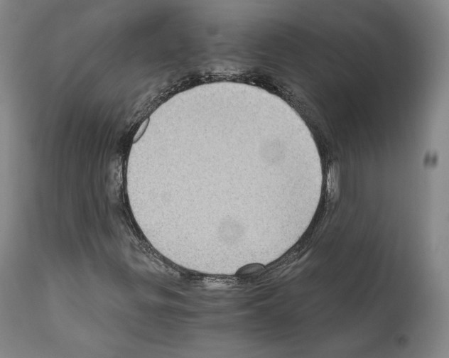X0000110891299200907301532
