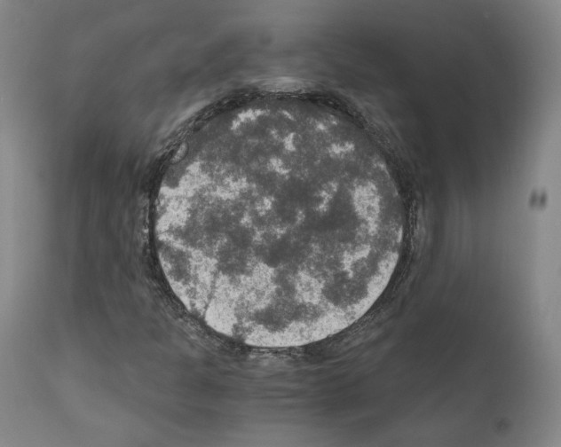 X0000110891301200907301532