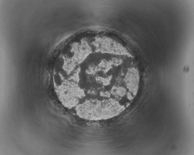 X0000110891302200907301532